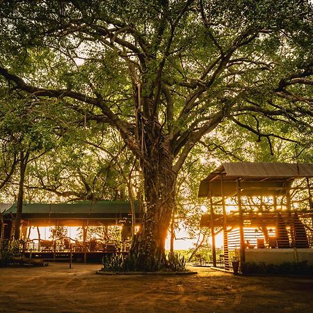 Askiesbos - Samochima Bush Camp Shakawe Luaran gambar