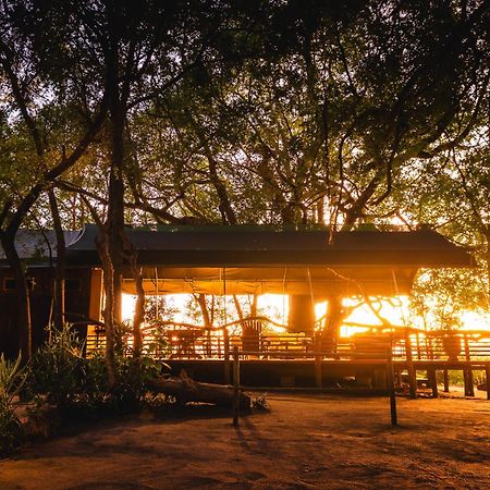 Askiesbos - Samochima Bush Camp Shakawe Luaran gambar