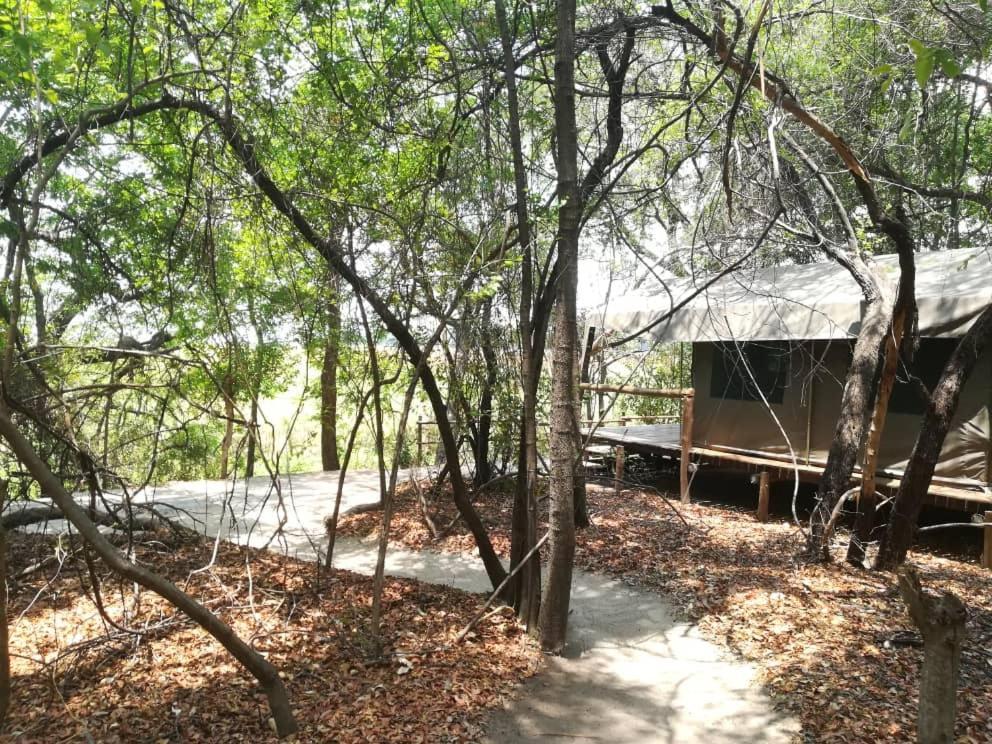 Askiesbos - Samochima Bush Camp Shakawe Luaran gambar