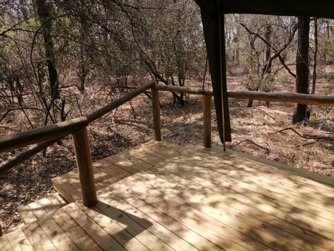 Askiesbos - Samochima Bush Camp Shakawe Luaran gambar