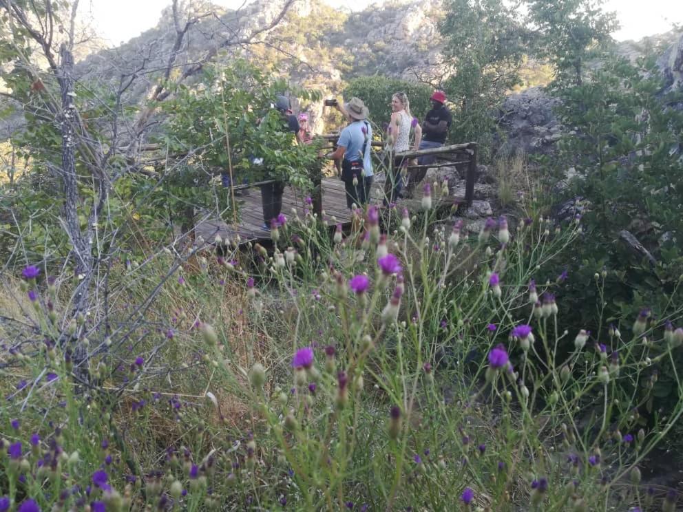 Askiesbos - Samochima Bush Camp Shakawe Luaran gambar