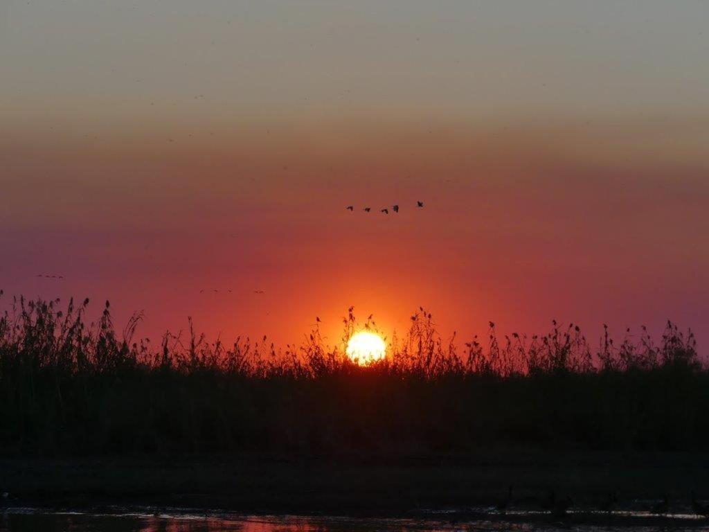 Askiesbos - Samochima Bush Camp Shakawe Luaran gambar