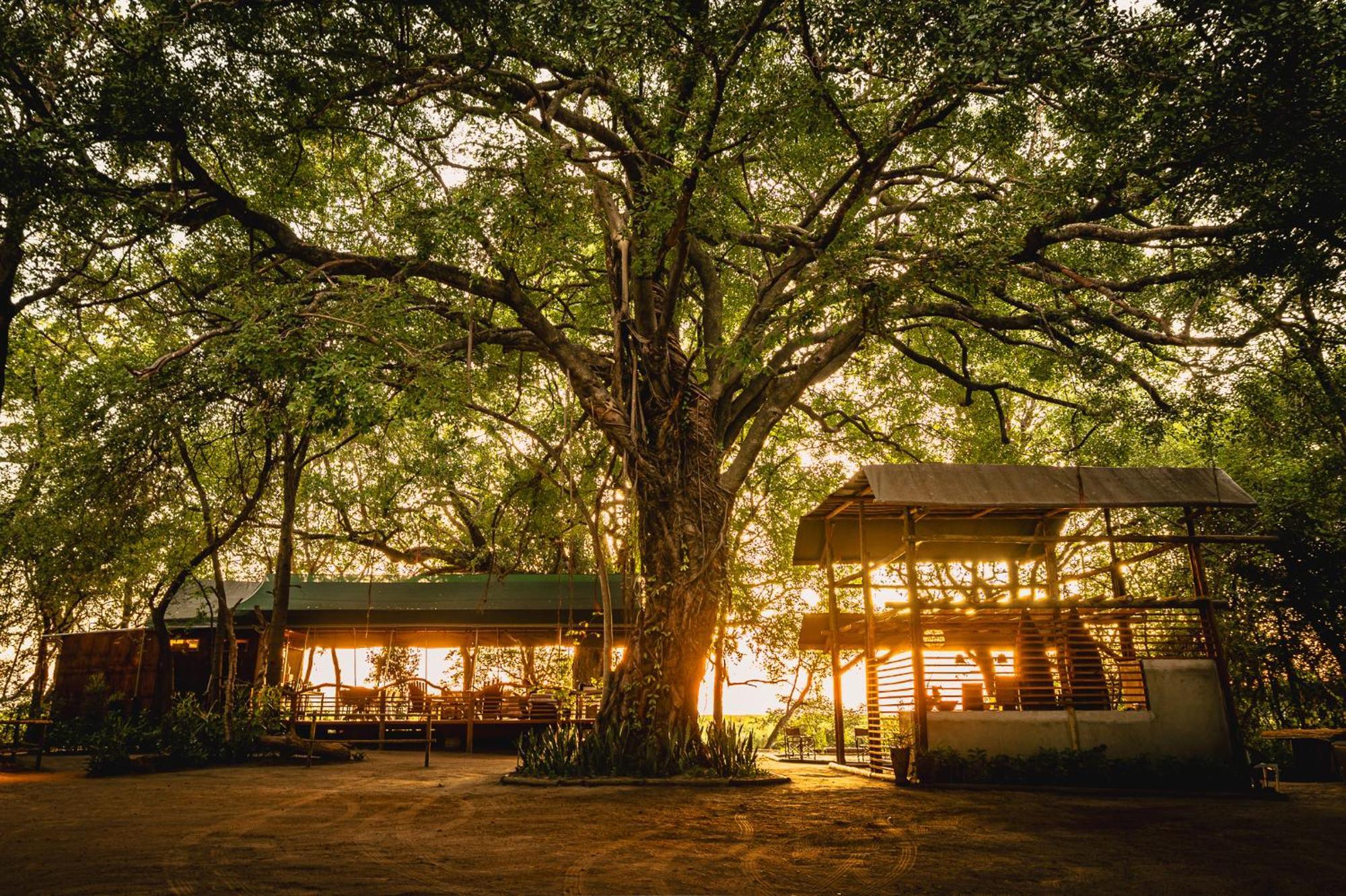Askiesbos - Samochima Bush Camp Shakawe Luaran gambar