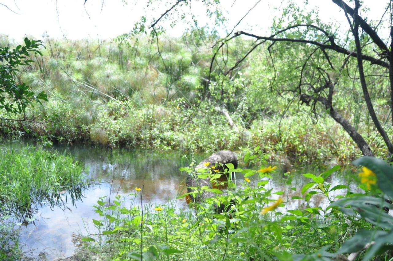 Askiesbos - Samochima Bush Camp Shakawe Luaran gambar